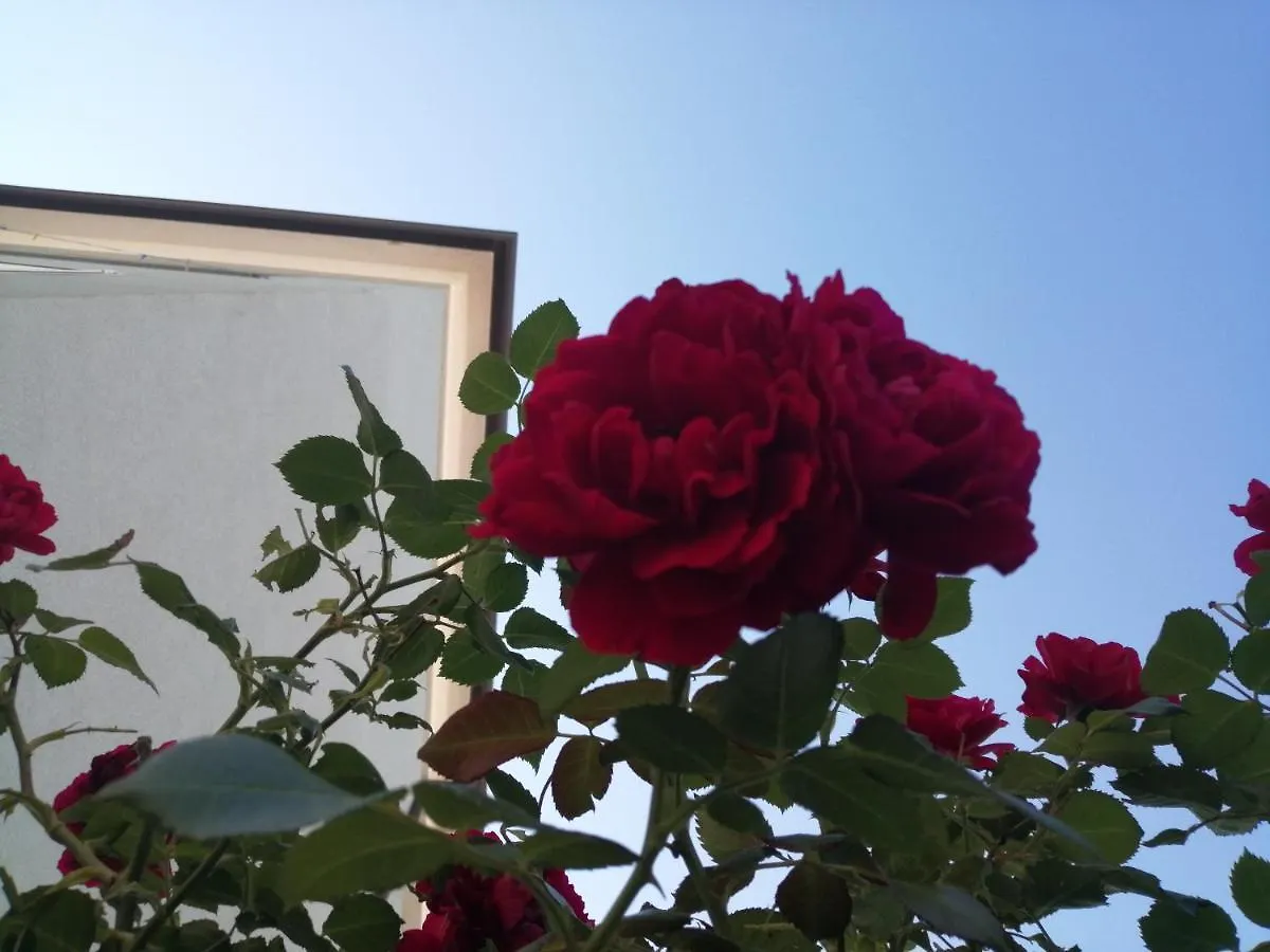 Lea Apartment Rovinj