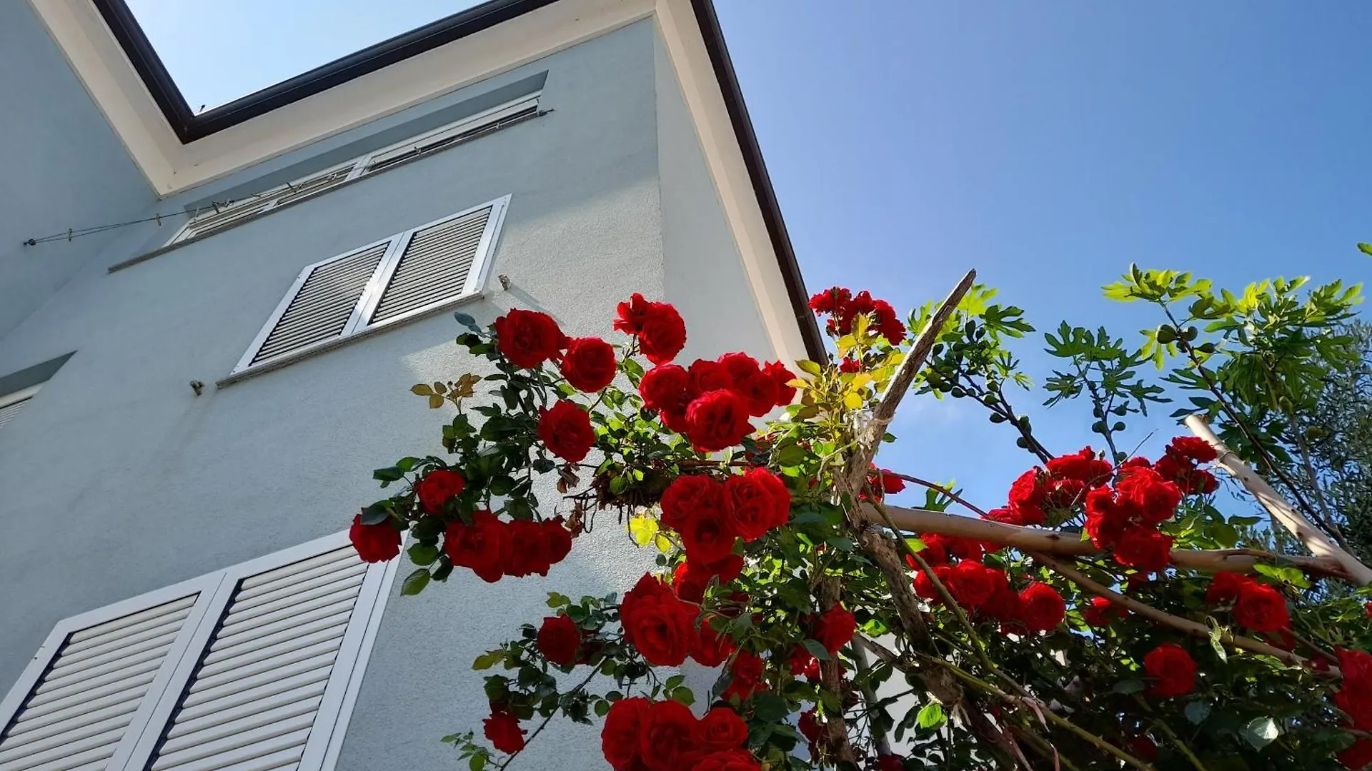 Lea Apartment Rovinj Croatia