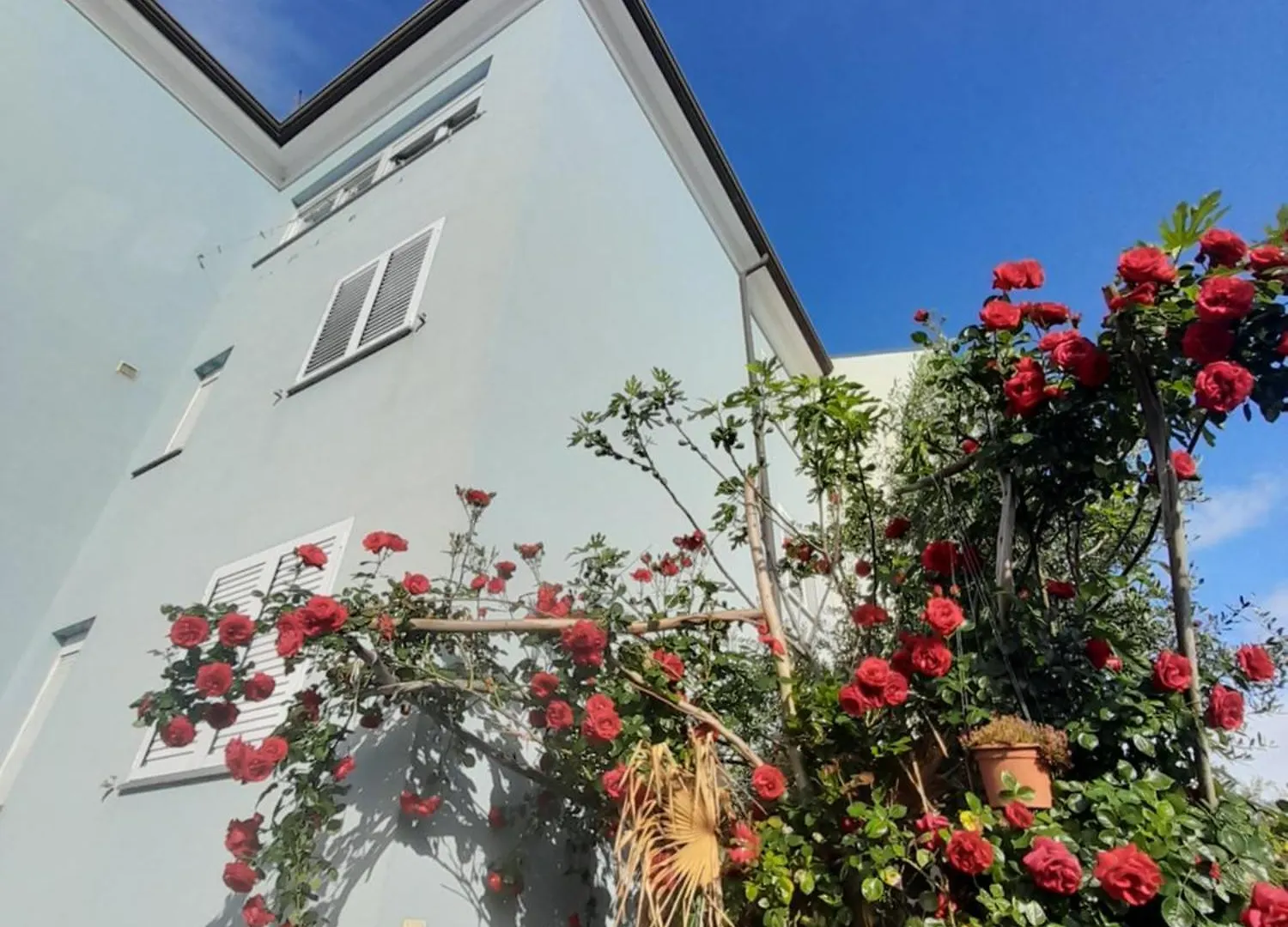 Lea Apartment Rovinj