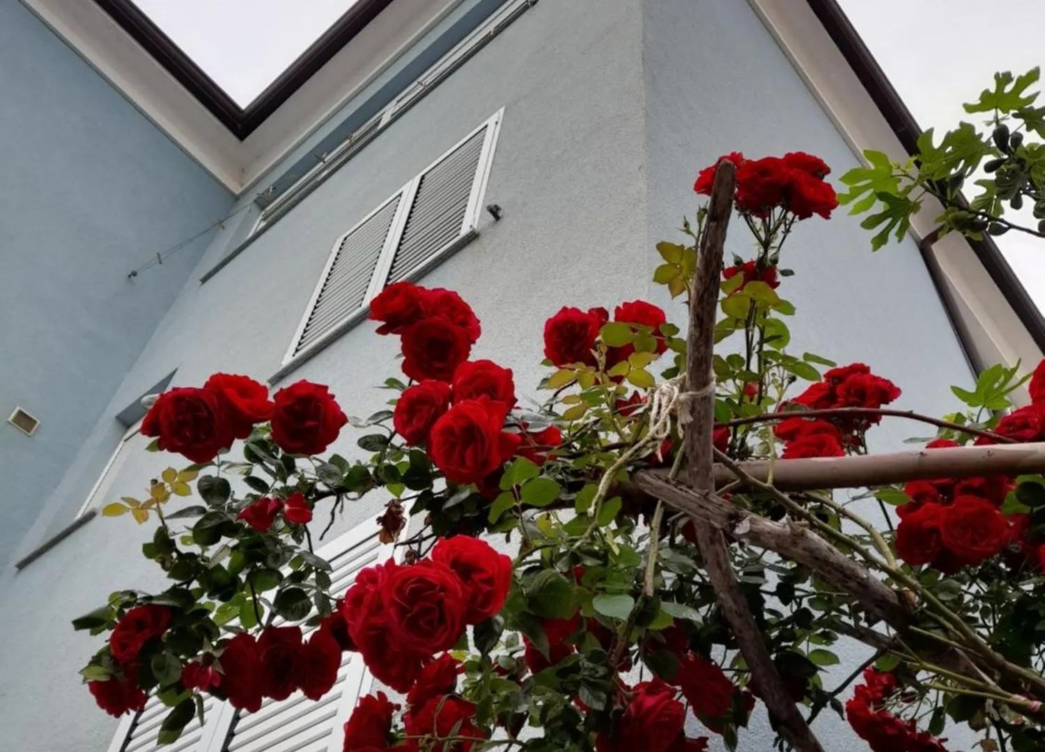 Lea Apartment Rovinj 0*,  Croatia