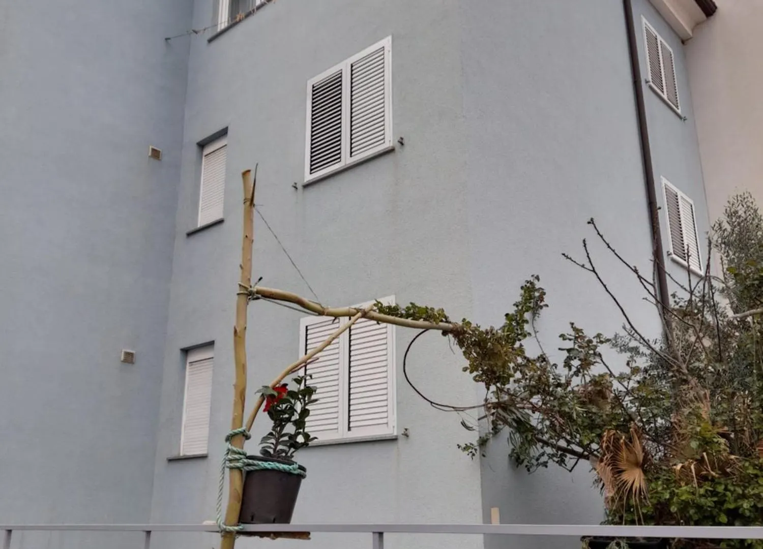 Lea Apartment Rovinj