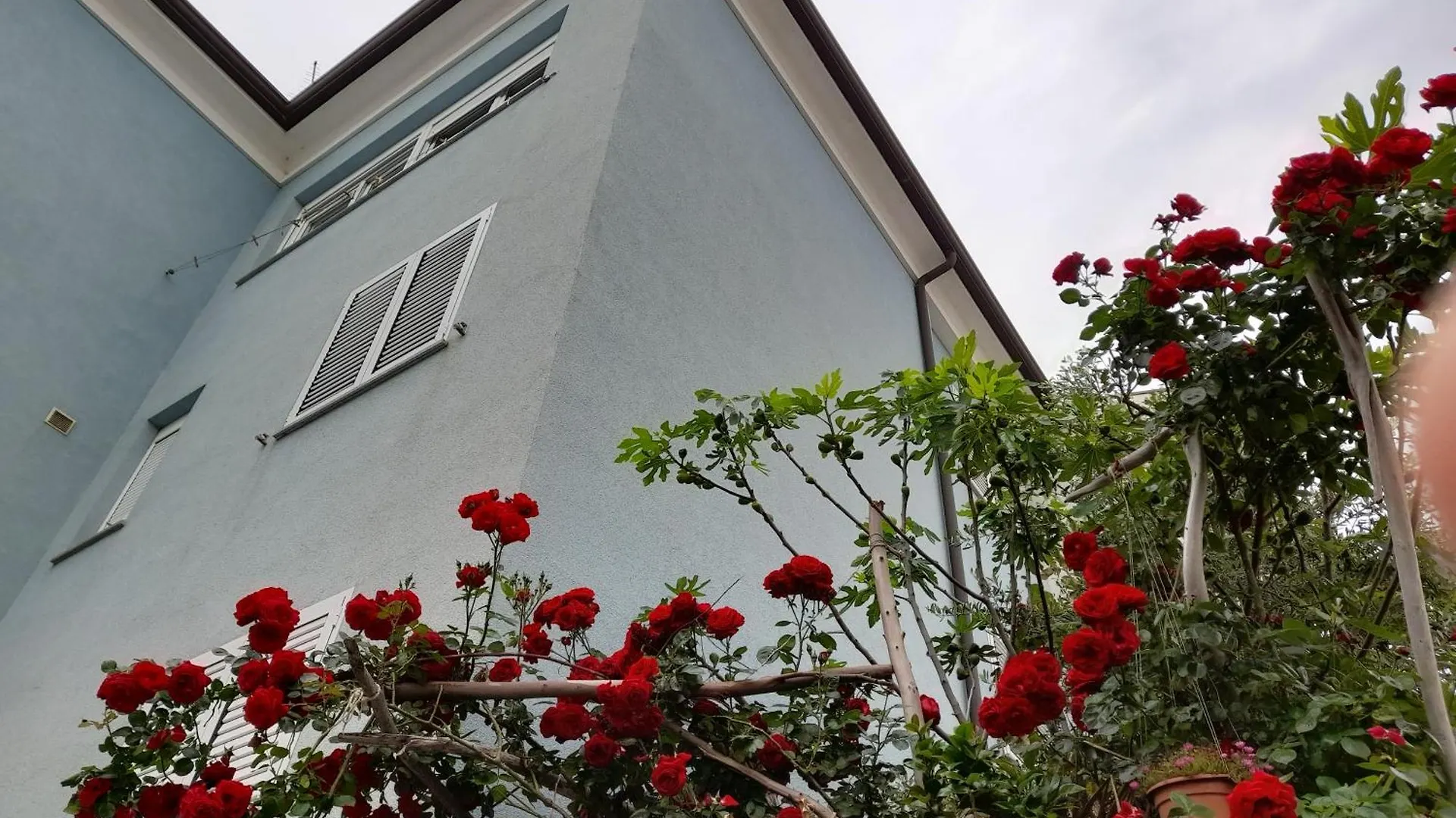 Lea Apartment Rovinj